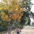 IMG 20141129 152911