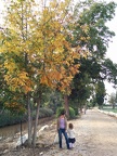 IMG 20141129 152911