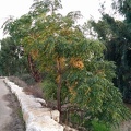 IMG 20141129 161651
