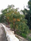 IMG 20141129 161651
