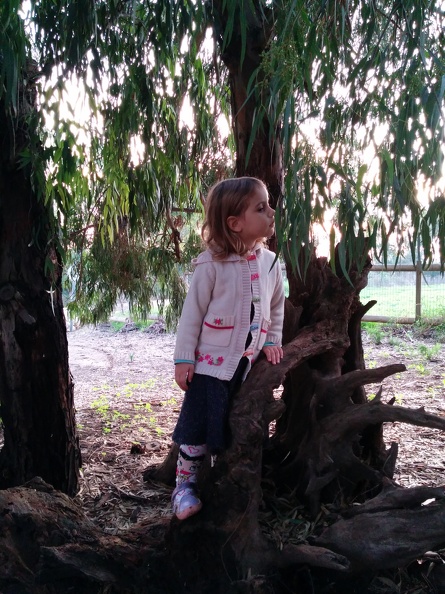 IMG 20141129 162824