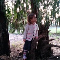 IMG 20141129 162824