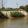 DSC09442