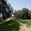 DSC09463