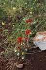 DSC09628