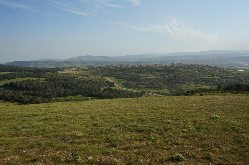 DSC09639