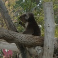 DSC09558a