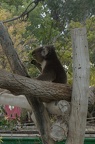 DSC09558a