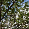 DSC09617