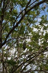 DSC09617
