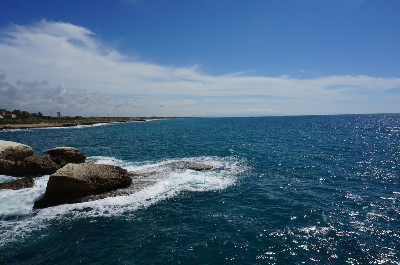 DSC09783