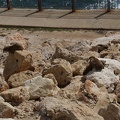 DSC09800