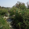 DSC09838