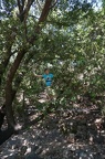DSC00633