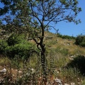 DSC00635