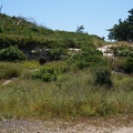DSC00645