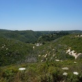 DSC00651
