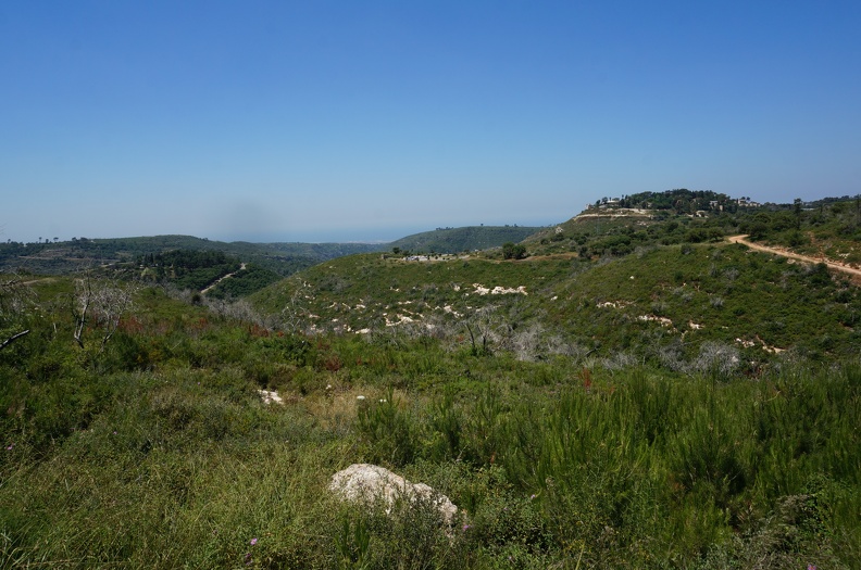 DSC00653