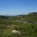DSC00653