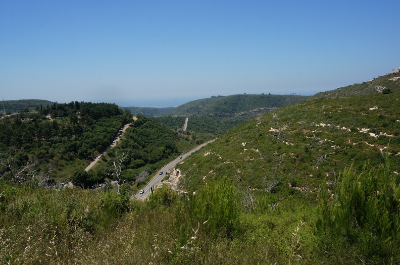 DSC00654