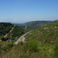 DSC00654