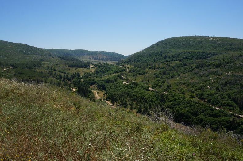 DSC00655