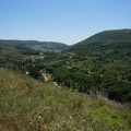 DSC00655