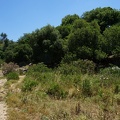 DSC00656