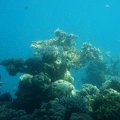 DSC00043