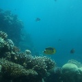 DSC00068