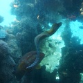 DSC00069.JPG
