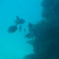 DSC00073.JPG