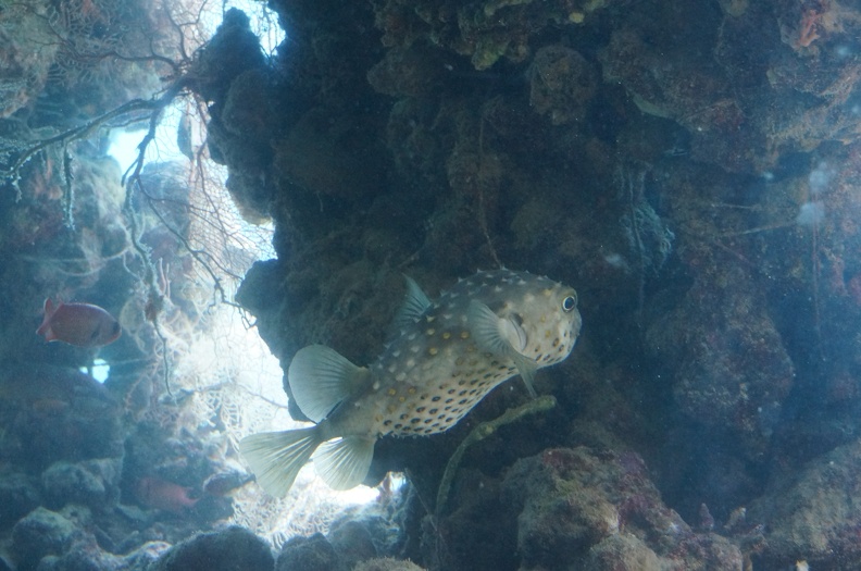 DSC00075