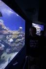DSC09949