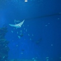 DSC09970