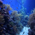 DSC00190