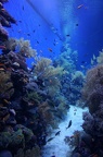 DSC00190