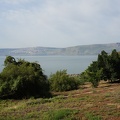 DSC00236