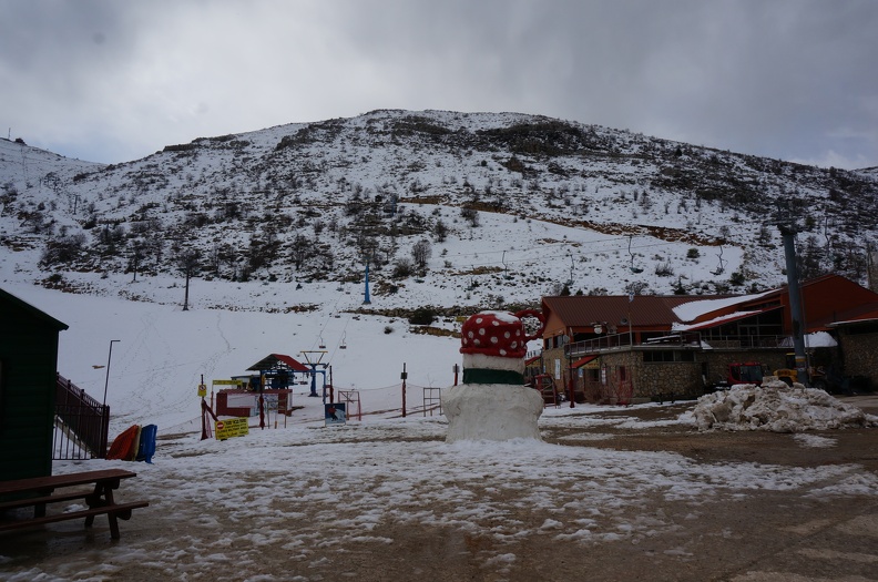 DSC00256