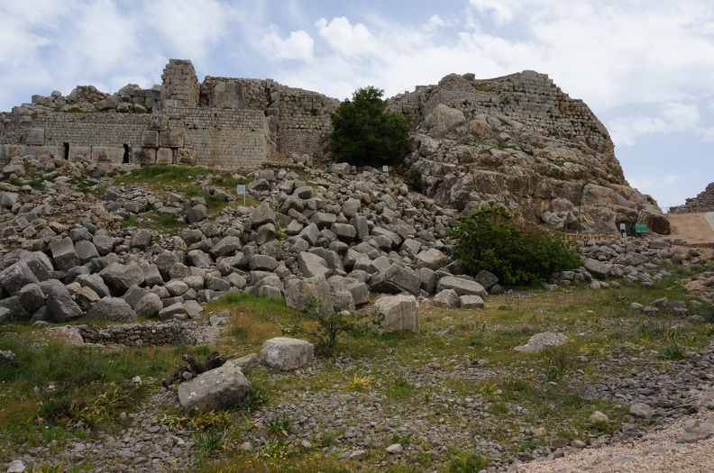 DSC00335