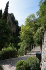 DSC01242