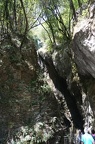 DSC01253