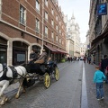 DSC02926.JPG