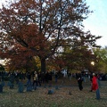 IMG 20151031 171655