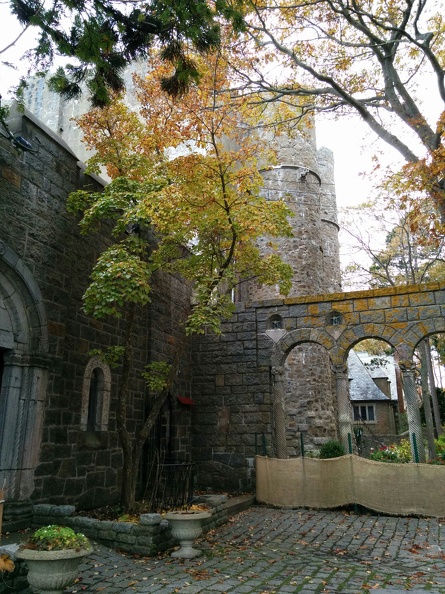 IMG 20151101 103524