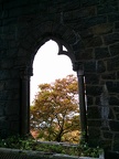 IMG 20151101 103605