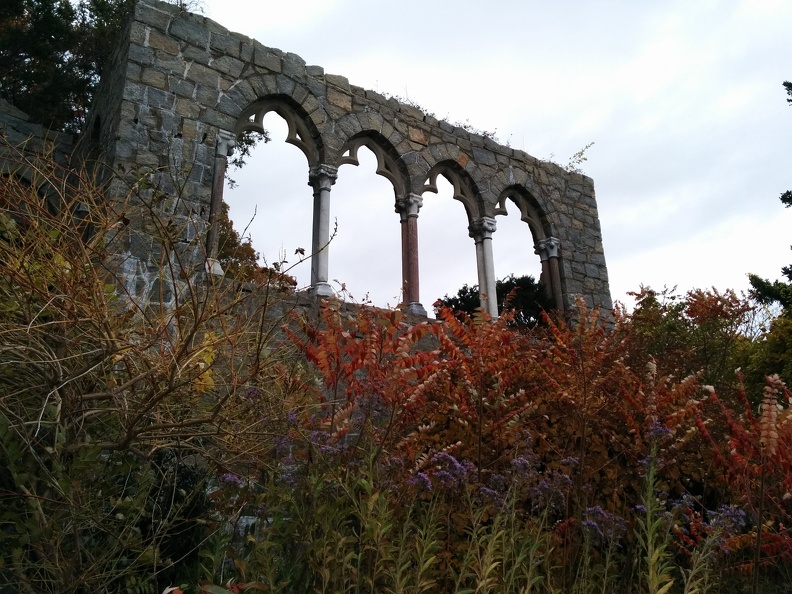 IMG 20151101 103914