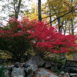 Nature in Gloucester