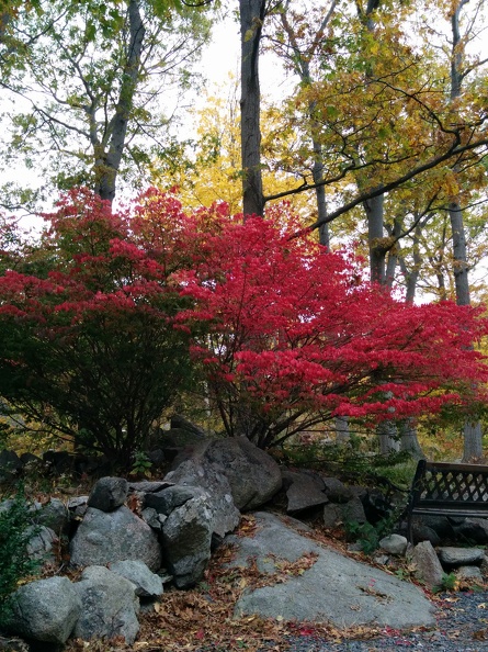 IMG 20151101 104217