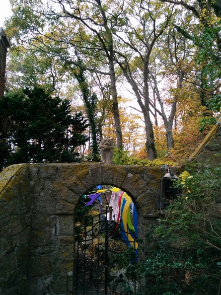 IMG 20151101 104503